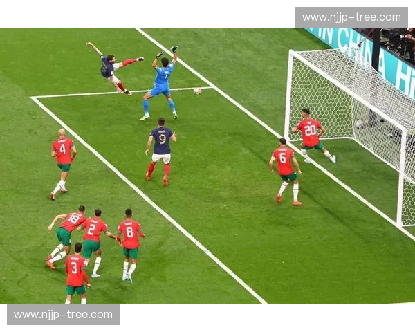 纵览二零二六世界杯巴西队高清赛程全景深度解析指南全方位呈现录