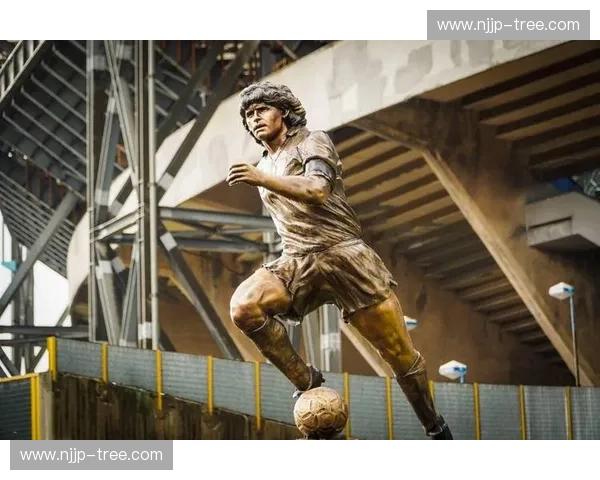 南美洲足球联赛的独特魅力与发展潜力分析